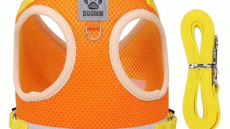 冷库板拼接：揭秘高效冷库建设的关键步骤