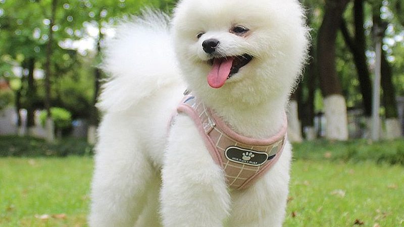 设备成本：10-30万元