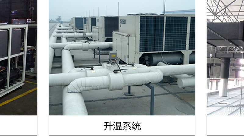 气调库与冷藏库：揭秘两者之间的关键差异**
